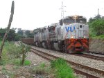 VLI 8677